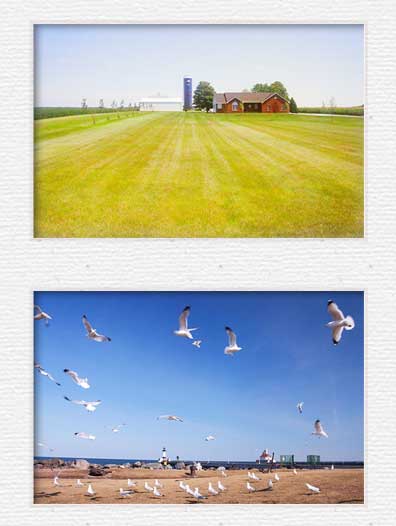 Barns and Lake Michigan